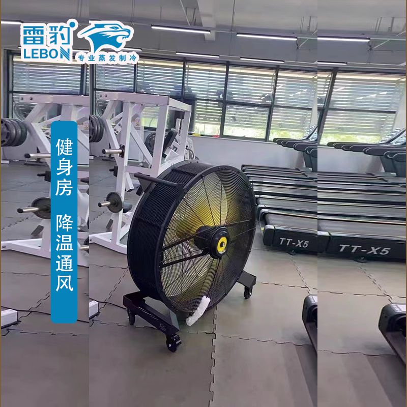 健身房室內(nèi)通風(fēng)降溫  雷豹 EF4822D 工業(yè)大風(fēng)扇 